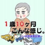 1歳10ヶ月こんな感じ〜いお君成長記録〜