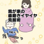 我が家の歯磨きイヤイヤ克服術